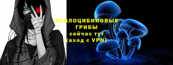 ешки Краснослободск