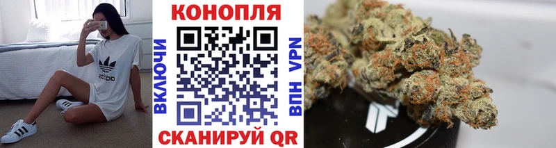 Купить где  Белореченск  МАРИХУАНА OG Kush 
